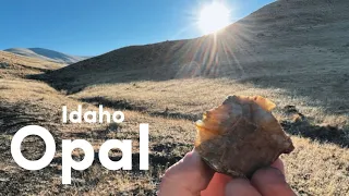 Hunting for Opals in the Volcanic Hills | Rockhounding Idaho