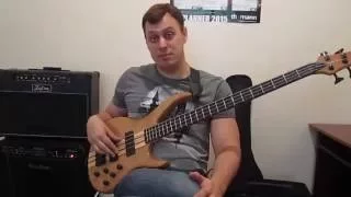 Уроки игры на бас гитаре. "Тэппинг" Урок № 1 (Основы звукоизвлечения)