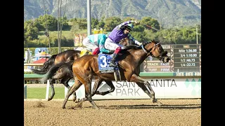 Santa Anita Park Resumen - 6 de Abril 2024