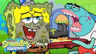 The Krusty Krab's Most Unhygienic Moments 😷 | 30 Minute Compilation | SpongeBob