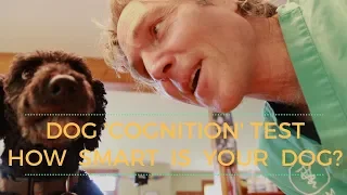 How Smart IS Your Dog? Canine Cognition Test