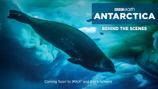 BBC Earth Behind the Scenes - Filming for IMAX®/Giant Screens - ANTARCTICA