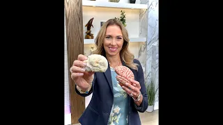 Detox, Weight Loss, Leptin, Cell Phone Use, Lion’s Mane | Dr. Janine