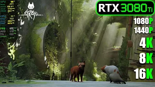 RTX 3080 Ti | STRAY - 1080p, 1440p, 4K, 8K and 16K