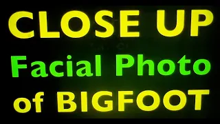 Incredible BIGFOOT Documentary 3 #bigfoot