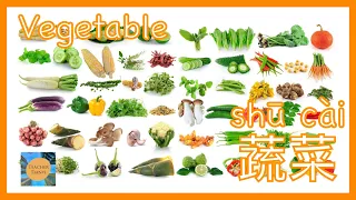 Vegetable in Chinese蔬菜｜with pinyin拼音标注｜Learn Chinese学中文｜bilingual中英双语｜Teacher Tianyi