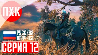 THE WITCHER 3 NEXT GEN Прохождение 12 ᐅ Новый квест, связанный с сериалом "Ведьмак".