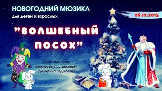 Новогодний мюзикл "Волшебный посох"  автор сценария и режиссёр-постановщик - Дельфина Ведослава