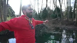 Captain Bhangra