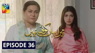 Tera Yahan Koi Nahin Episode 36 HUM TV Drama 22 June 2020