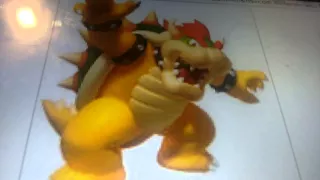 Why bowser does not have kids