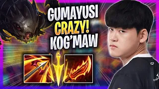 GUMAYUSI IS SO CRAZY WITH KOG'MAW! - T1 Gumayusi Plays Kog'maw ADC vs Kai'sa! | Season 2023