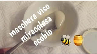 MASCHERA VISO MIRACOLOSA FAI DA TE ECOBIO e LOW COST | sua maestà