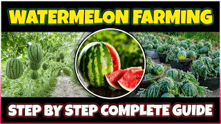 Watermelon Farming | How to grow Watermelon from at Home | Watermelon Cultivation