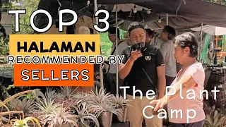 TOP 3 PLANTS THAT RECOMMEDED BY SELLER | THE PLANT CAMP ANNIVERSARY