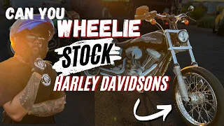 Can you wheelie a STOCK Harley Davidson Dyna?