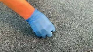 How to remove egg from carpet: Your step-by-step guide