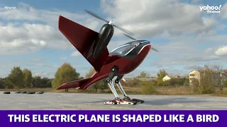 This electric plane is shaped like a bird