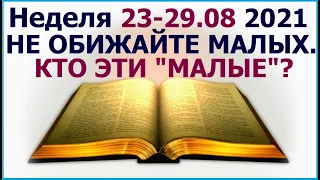 Неделя 23 - 29 августа 2021 г.: о том, что нельзя обижать "малых". Свидетели Иеговы