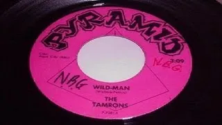 The Tamrons - Wild Man (1967)