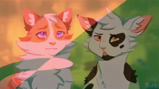Коты Воители -  Solo - Клип