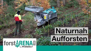 Naturnah den Wald von morgen gestalten | Aufforsten mit Containerpflanzmaschine & Forstraupe Moritz