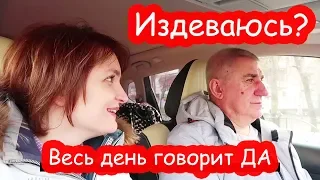 VLOG Я не изверг