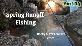 Spring RUNOFF Tenkara Fishing