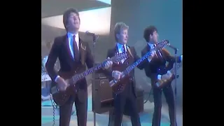 THE SEARCHERS - VIDEO ENTERTAINERS - 27 JULY 1982- GRANADA - ITV NETWORK - 1965 & 1982