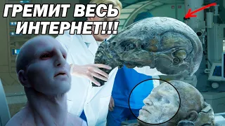 СПУСТЯ 25 ЛЕТ ЭТИ РАСКОПКИ ПОКАЗАЛИ ВСЕМУ МИРУ!!!