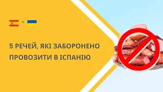 5 речей, про які ви навіть не здогадуєтесь і які у вас заберуть на кордоні з Іспанією