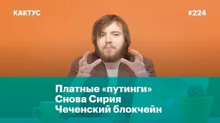 Платные «путинги», снова Сирия, чеченский блокчейн