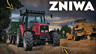 Żniwa 🌾 MF & NewHolland🚜AVENOX