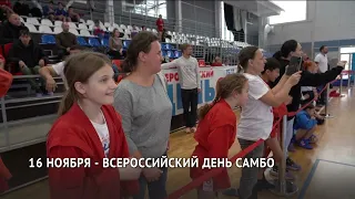 Всероссийский день самбо отмечают в Хабаровском крае