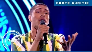 Nelis - That’s What I Like | The Talent Project 2018 | Grote auditie