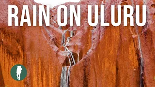 Rain on Uluru / Ayers Rock | Australia Nature