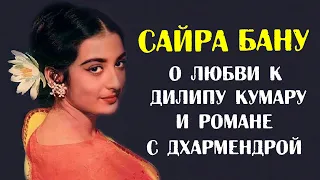 Сайра Бану: о любви к Дилипу Кумару и романе с Дхармендрой