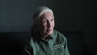 Jane Goodall: 'Save the world before it’s too late'