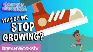 Why Do We Stop Growing? | COLOSSAL QUESTIONS | Learn #withme