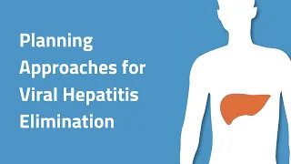 Planning Approaches for Viral Hepatitis Elimination