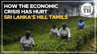 How the economic crisis has hurt Sri Lanka's hill country Tamils | The Hindu