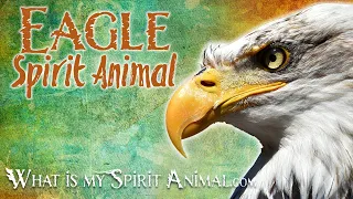 Eagle Spirit Animal | Eagle Totem, Power Animal | Eagle Symbolism & Meanings