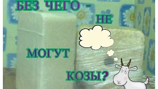 Без чего не могут козы???