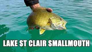 Lake St. Clair Smallmouth Bass Fishing Report: May 10th 2024