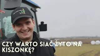 Dzień z życia rolnika #71 - Żyto na kiszonkę z wyką; Czy warto siać przed kukurydzą?