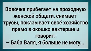 Как Вовочка в Женской Общаге Буянил! Сборник Свежих Анекдотов! Юмор!