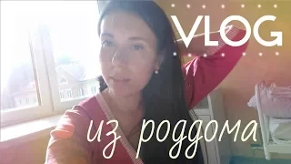 ●   VLOG из РОДДОМА  ●