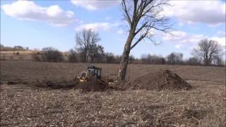 CAT 973C taking out a large tree