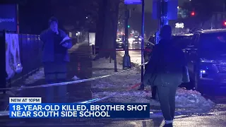 2 brothers shot, 1 fatally, on South Side: police