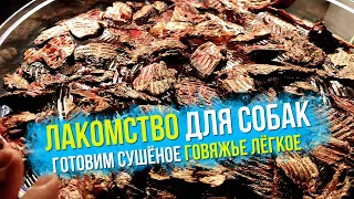 Сушёное говяжье лёгкое для собак своими руками в сушилке для овощей и фруктов